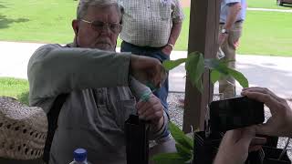 2024 Ohio Pawpaw Conference amp Trade Show Grafting Demonstration with Cliff England [upl. by Eelik]