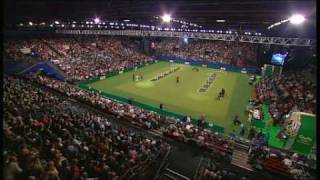 Flyball  Crufts 2007 Final [upl. by Trude]