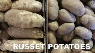 Produce Beat Russet Potatoes [upl. by Monie]