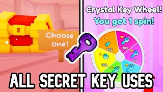 PET SIMULATOR 99  ALL SECRET KEY DOOR LOCATIONSAREAS How to Use Secret Keys [upl. by Gnad186]