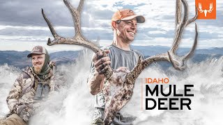 Idaho Mule Deer  MeatEater Season 12 [upl. by Corneille]