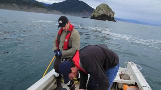 Port Orfords Marine Reserve [upl. by Pauly]