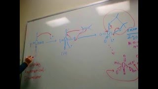 Sharpless Asymmetrical Dihydroxylation [upl. by Ahsenwahs]