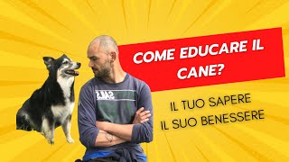 Come educare il cane  il mio cane parla  Mirko Darar [upl. by Llenal]