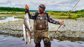 Fishing for Coho Salmon in Alaska [upl. by Eceinaj167]