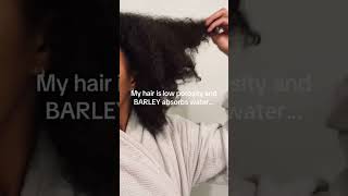 Is anyone else’s hair like this GODCreated Faithbased naturalhair hairstyles hairgrowth [upl. by Rossing92]