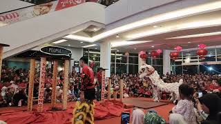 Pertunjukan barongsai  Mall Living word viral fyp [upl. by Nowell637]