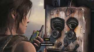 Tomb Raider 2013 on R9 270X Max Settings TressFX On [upl. by Wonacott]