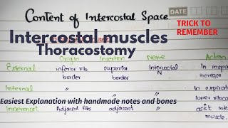 Intercostal Space  Contents  Muscles  Clinicals  Thoracostomy  Part 1 Easiest Explanation [upl. by Wadsworth84]