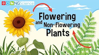 Flowering and Nonflowering Plants [upl. by Ahgem123]