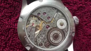 Glycine Incursore Slow Motion HD [upl. by Celik68]