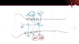 Neurons Part 4  Neuron Action Potential Repolarization AbsoluteRelative Refractory Periods [upl. by Montano535]