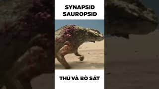 Tổ tiến của Thú và Bò sát Synapsid và Sauropsid dinosaur synapsid sauropsid tiếnhóa dongvat [upl. by Rizzi301]