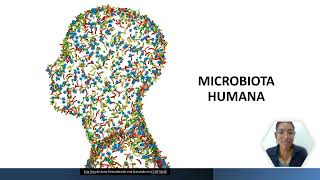 Aula 3 Microbiologia Aplicada  Microbiota humana [upl. by Toomay]