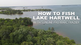 Winning Strategies for Fishing Lake Hartwell in South Carolina During the Spring [upl. by Biagio]