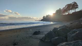 Relax with some tranquil beach time [upl. by Leighton]