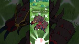 Getting Lucky With ✨Shiny Golisopod in pokemongo [upl. by Dauf]