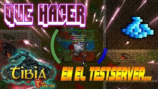 QUE HACER EN EL TESTSERVER [upl. by Dyke496]