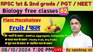 Fruit फल  Types of fruit फलो के प्रकार  RPSC 1st grade  RPSC 2nd grade  PGT [upl. by Turrell]