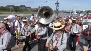 International Dixieland Festival Dresden 2016 [upl. by Bez260]