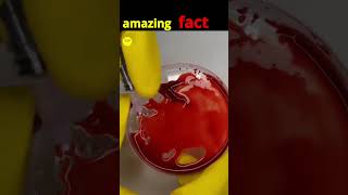 Amazing fact mind blowing fact facts रोचकfacts top10amazingfactsoftheworld [upl. by Gruber]