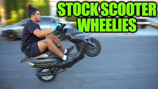 CAN YOU WHEELIE A STOCK 50cc SCOOTER with NO MODS [upl. by Nynnahs]