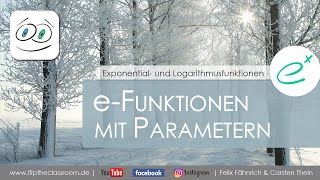 eFunktionen mit Parameter  Graph und Ableitung  Exponential und Logarithmusfunktionen  Flip [upl. by Kiryt391]