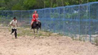 Laila Riding An Ostrich On Island Off Of Nha Trang Vietnam [upl. by Oirom608]