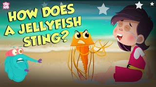 How Does A Jellyfish Sting  Everything About Jellyfish  Dr Binocs Show  Peekaboo Kidz [upl. by Tobi]