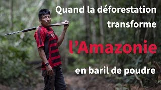 Comment la déforestation a transformé lAmazonie en baril de poudre  AFP Reportage [upl. by Klein130]