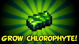 Terraria 14 How to Farm Chlorophyte XBox PS4 Switch PC Mobile [upl. by Esinyt]