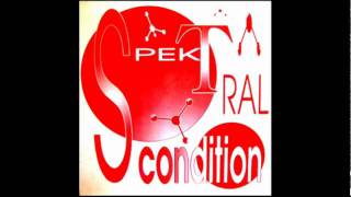 SPEKTRAL CONDITION  NOTHING IS IMPOSSIBLE [upl. by Eri234]