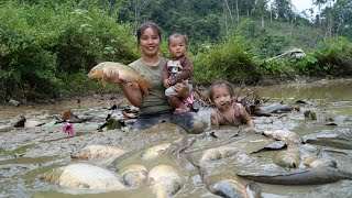 How to harvest longterm fish ponds and bring them to the market to sell with your children [upl. by Annuhsal353]