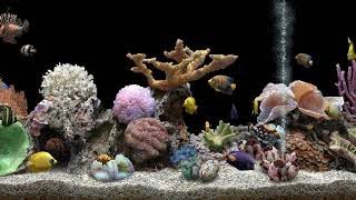 Marine Aquarium 3 Black Background 4K [upl. by Gavrilla]