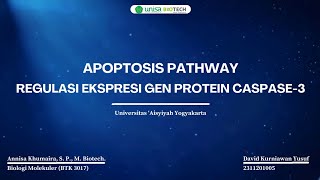 APOPTOSIS PATHWAY  REGULASI EKSPRESI GEN PROTEIN CASPASE3 [upl. by Cyril]