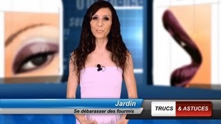 Trucs et astuces  Se débarrasser des fourmis [upl. by Llatsyrk]