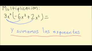 Operaciones algebraicas básicas [upl. by Gavin]