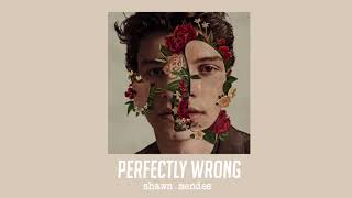 Perfectly Wrong by Shawn Mendes  Slowed  Reverb [upl. by Pietrek272]