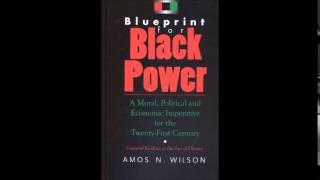 Amos N Wilson  The Psychology of Cooperative Economics [upl. by Russ16]