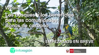 Webinar  Los bosques y los beneficios para las comunidades Bonos de carbono [upl. by Gwenny789]