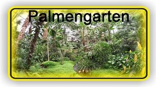 meinFrankfurt Palmengarten [upl. by Hueston]