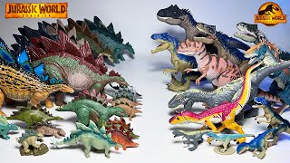 NEW STEGOSAURUS vs ALLOSAURUS Jurassic World Dominion Dinosaurs Collection Comparison [upl. by Allenotna]