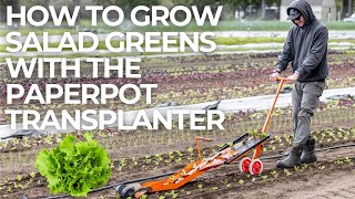 Paperpot 101 Everything You Need to Know About Growing Salad Crops with the Paperpot Transplanter [upl. by Hirst]