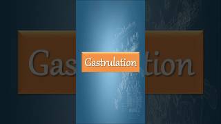 Gastrulation in 60 Seconds shorts shortsfeed facts biology development neet [upl. by Anitnas]