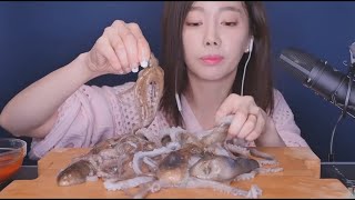 Youtuber Tortures and Eats Animals Alive [upl. by Nairim927]