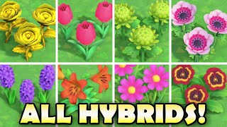 🌼 ALL HYBRID FLOWERS In Animal Crossing New Horizons amp How To Grow Them EASY [upl. by Scurlock376]