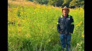 Untermyer Gardens Conservancy Meadow Making With Timothy Tilghman [upl. by Fauver699]