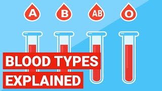 Blood Types Explained [upl. by Toffey]