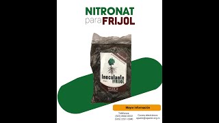 Inoculante Nitronat para frijol [upl. by Ymme]