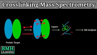 Crosslinking Mass Spectrometry  Protein Protein Interactions By Crosslinking Mass Spectrometry [upl. by Reyotal]